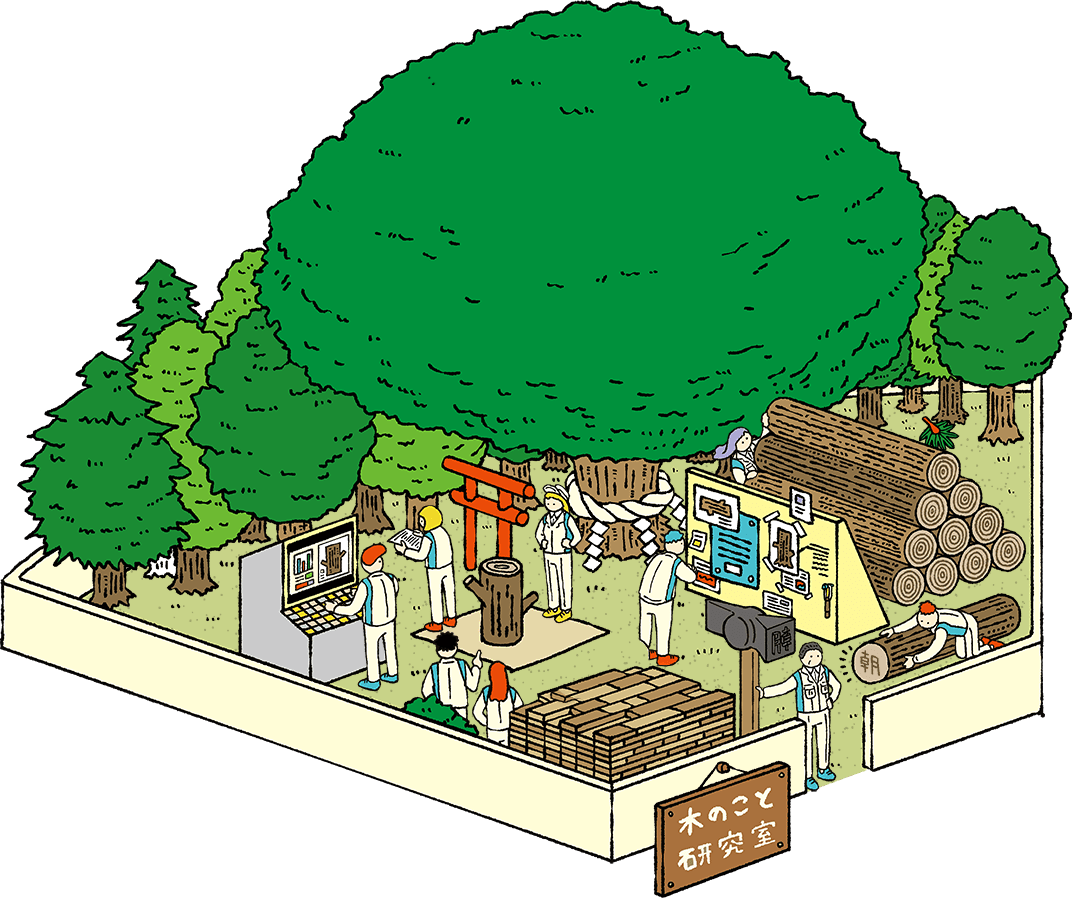 木のこと研究室