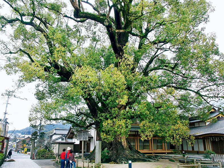 979ef15fbdc22fcd535b627b5bd8fa