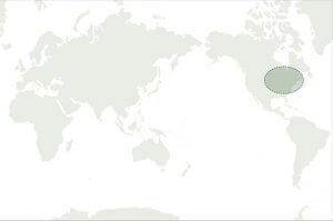 map:バーチ