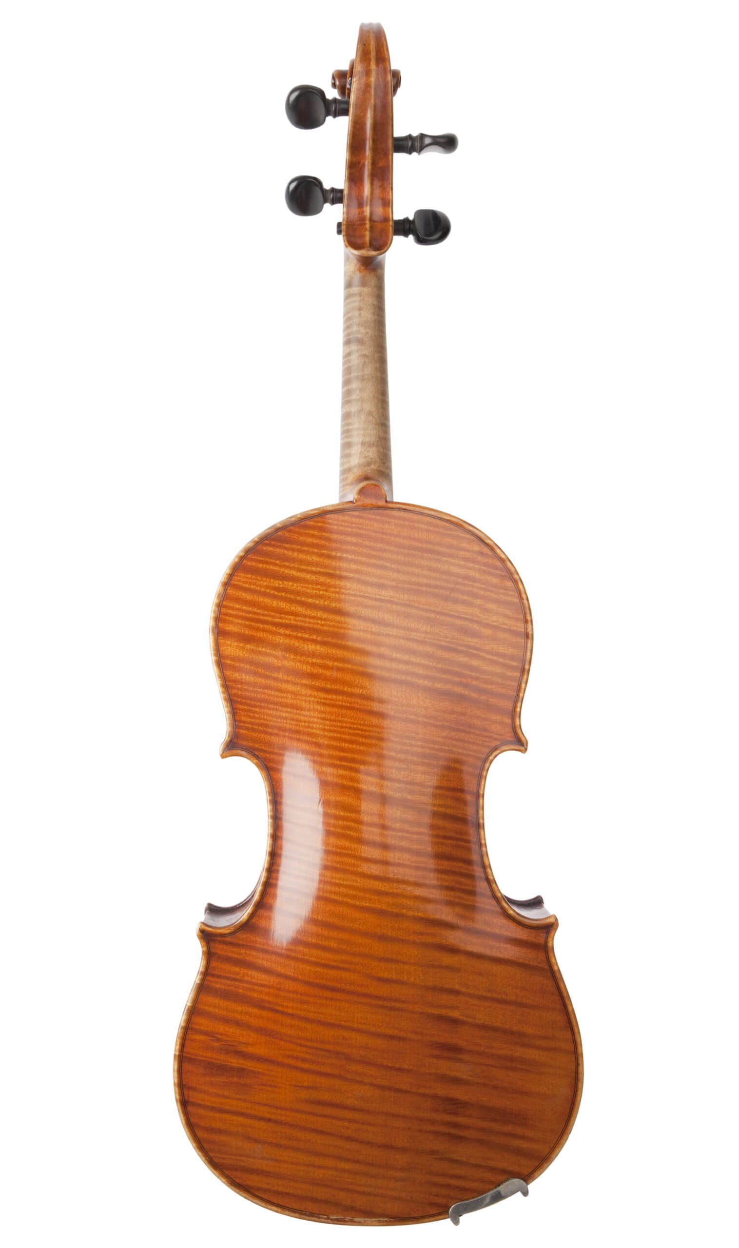 バイオリン（裏板） | フローリング総合研究所