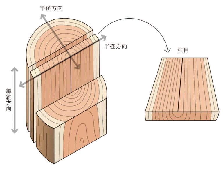 木材の板目、柾目 | フローリング総合研究所